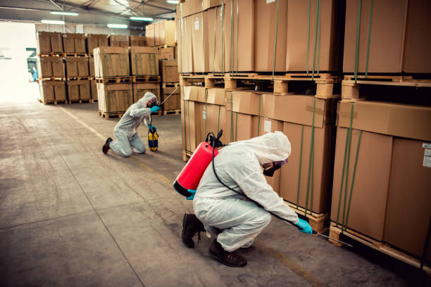 Best Commercial Pest Control Services  in Jean Fitte, LA