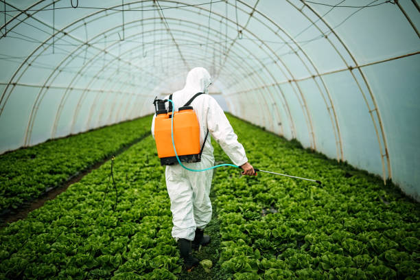 Best Mosquito Control Services  in Jean Fitte, LA