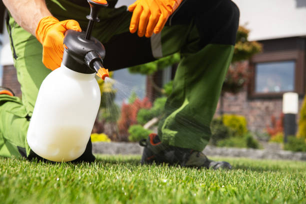 Pest Control Cost in Jean Lafitte, LA
