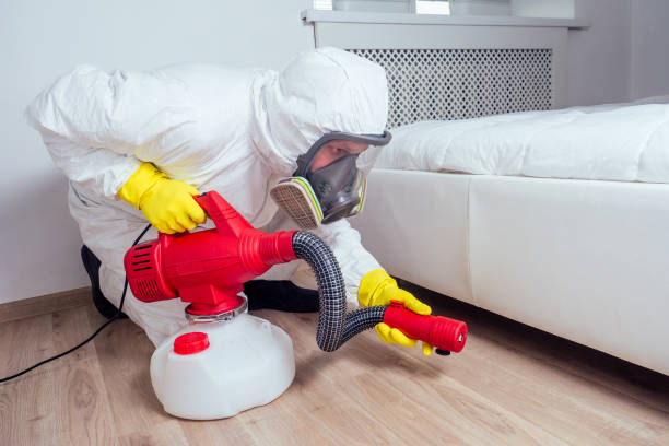 Best Ant Control Services  in Jean Fitte, LA