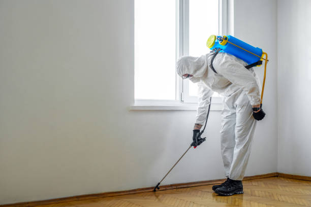 Best Wildlife Control Services  in Jean Fitte, LA