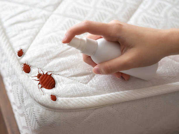 Best Pest Inspection Near Me  in Jean Fitte, LA